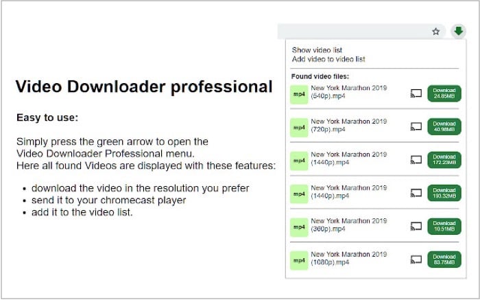 video downloader professional