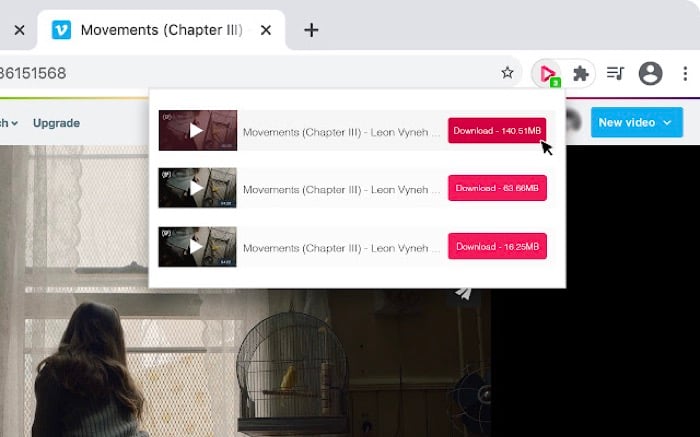 video downloader pro