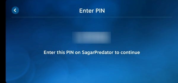 inserisci il pin