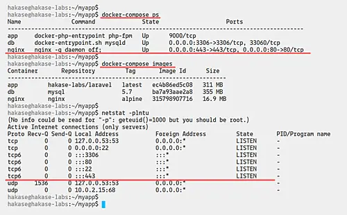netstatでDockerセットアップを確認