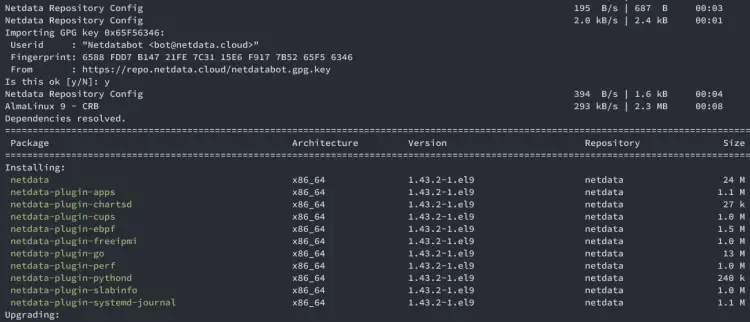 installa netdata