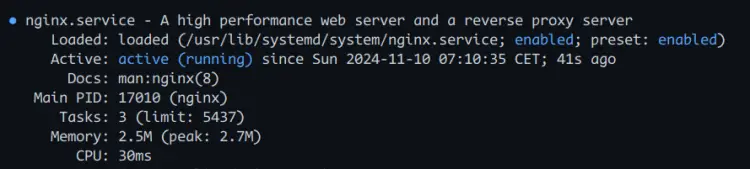 vérifier nginx