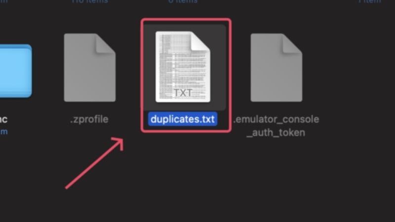 fichier duplicates.txt