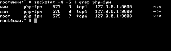 Verificar socket php-fpm
