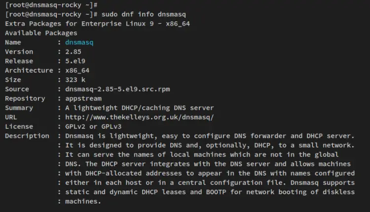 info dnsmasq