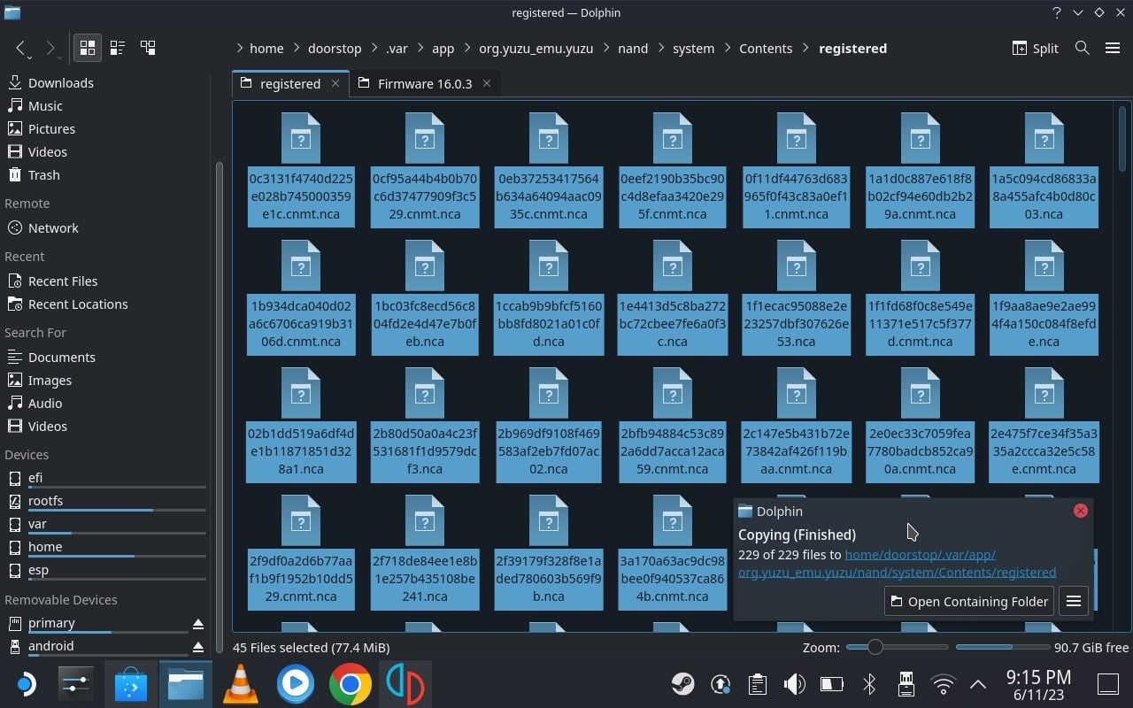 copia i file di firmware in questa posizione