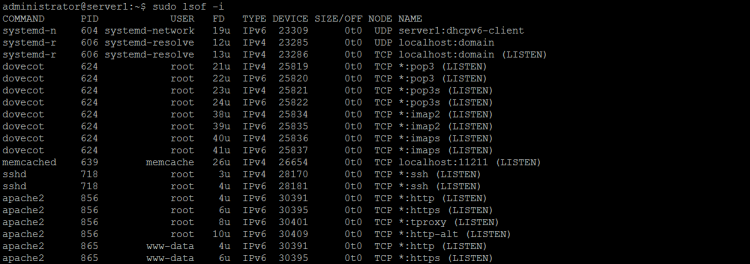 So listen Sie alle Internet- und x.25 (HP-UX) Netzwerkdateien auf