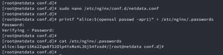 nginx proxy inverso