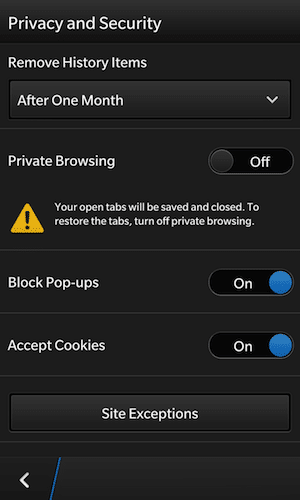 enable private browsing