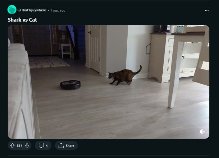 топ самых смешных сабреддитов