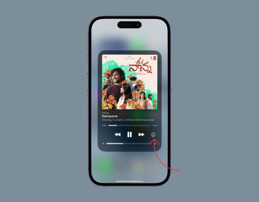 Musik-Tab im Kontrollzentrum iPhone