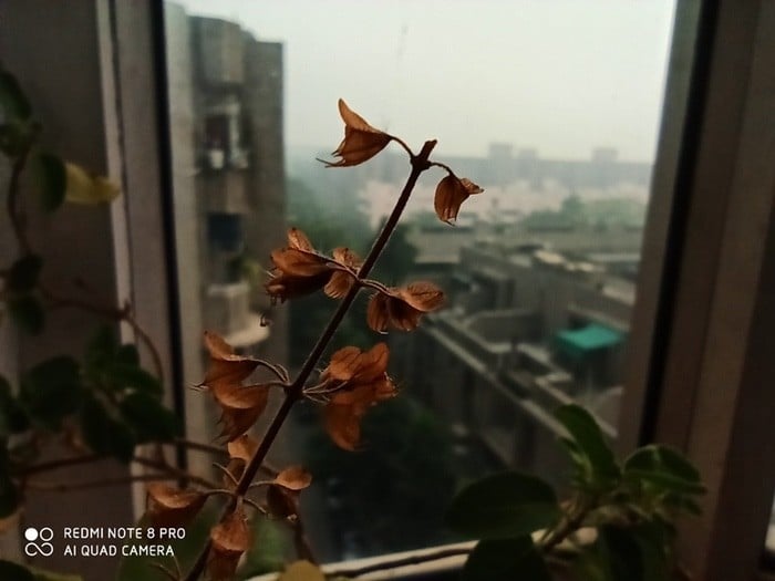 Critique du Redmi Note 8 Pro : beaucoup plus grand, beaucoup mieux - à noter ! - img 20191030 150938
