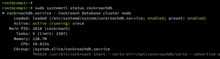 stato servizio cockroachdb comp1