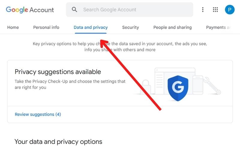 navegar a datos y privacidad