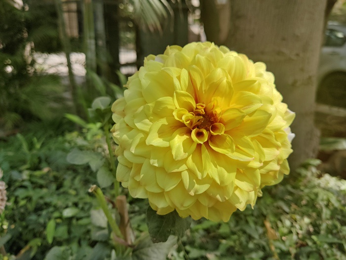 oneplus 9r long term review: for those classic op feels - img 20210414 094928