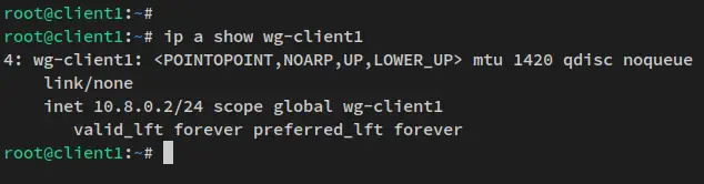 vérifier l'interface cliente wireguard