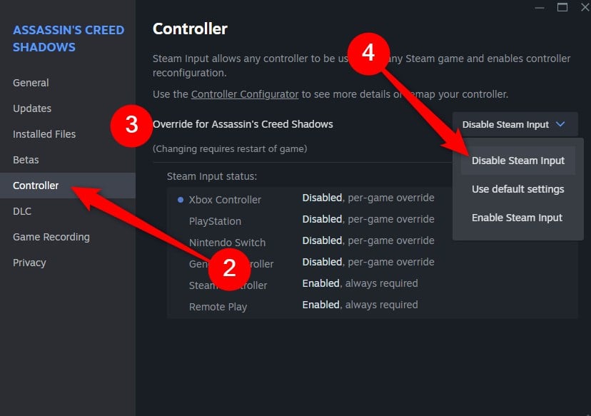 desativar entrada do steam