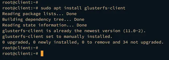 installer glusterfs client