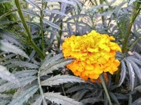 img_20160228_171428_hdr