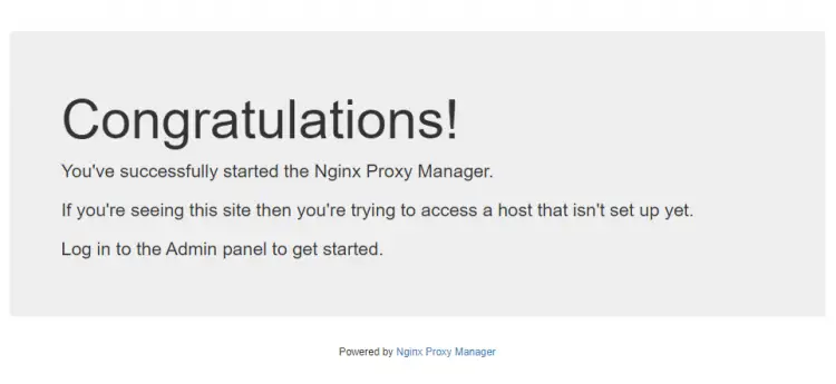 Site Padrão do Nginx Proxy Manager