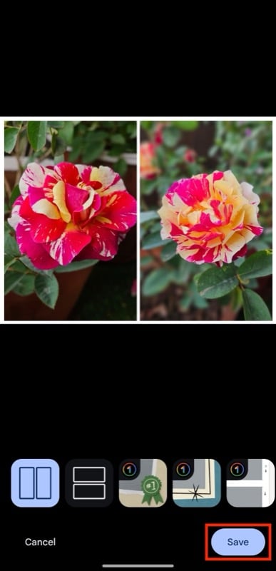 коллаж, созданный с помощью google photos.