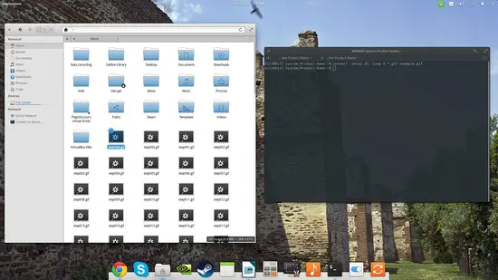 Converti in gif