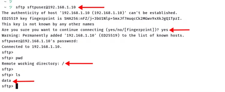 Connetti a sftpserver con comando sftp