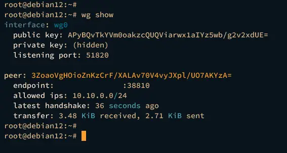 show wireguard connections