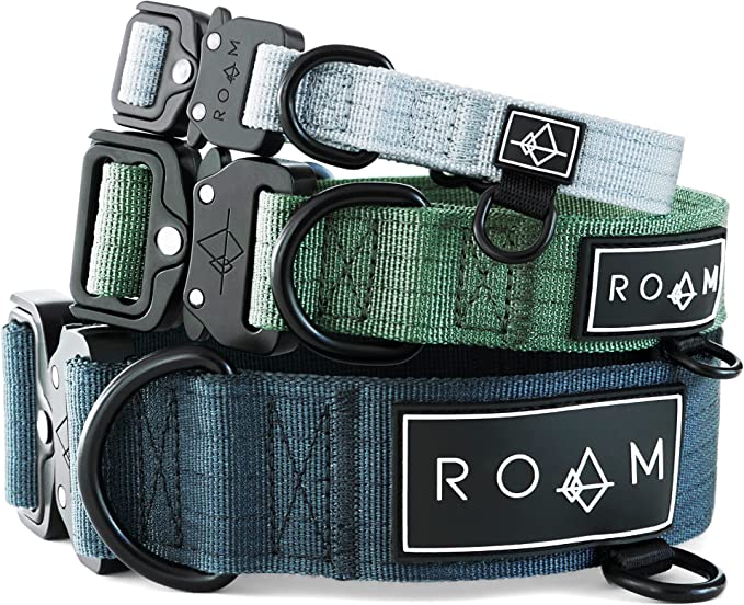 coleira inteligente roam