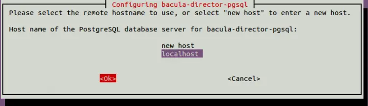PostgreSQL-Datenbank-Host