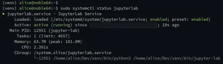 проверка статуса jupyter