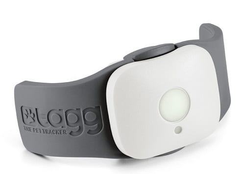 tagg-el kit maestro de rastreo para mascotas