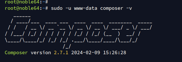 verificar composer