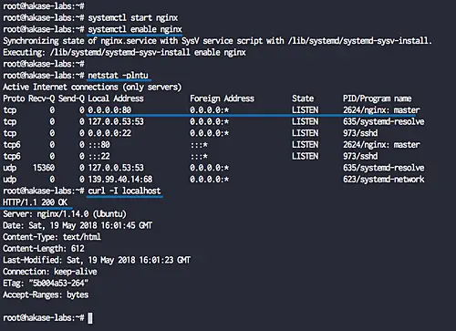 Installer le serveur web Nginx