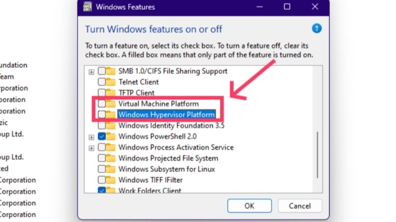 désactiver les options de virtualisation