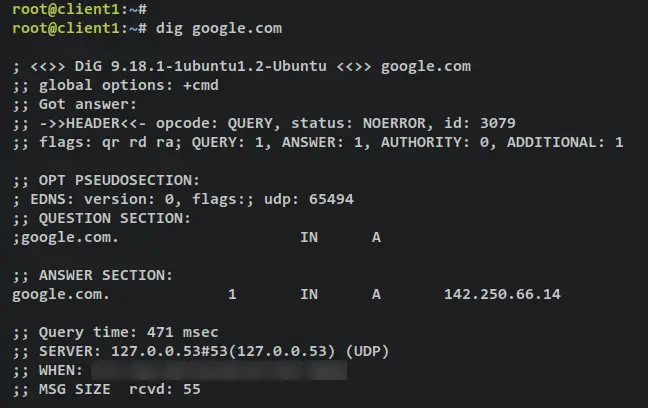 dig google