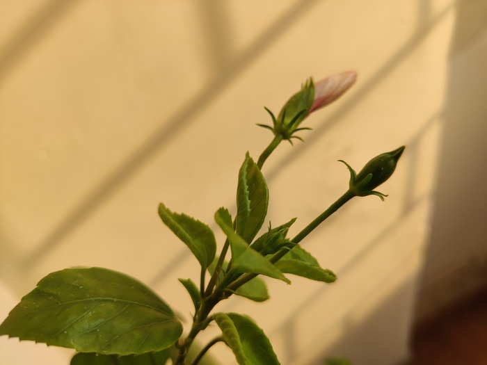 oneplus 9r long term review: for those classic op feels - img 20210427 170951