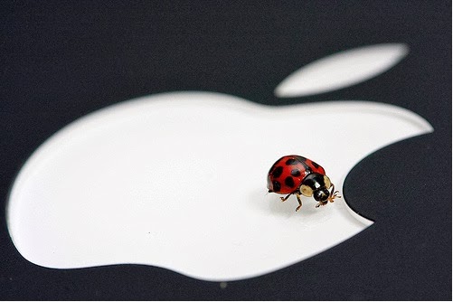 Schwerwiegender Verschlüsselungsfehler in Apples iOS 7; Apple veröffentlicht Fix zur Behebung