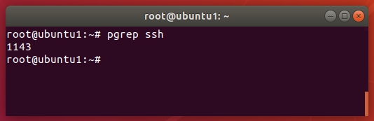 Commande pgrep Linux