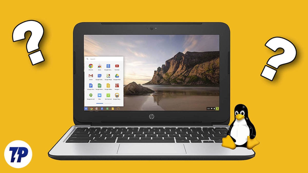 wie man linux auf chromebook installiert