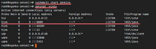 Jenkins se ha instalado en el puerto 8080