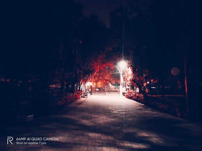 Les filtres de nuit du Realme 7 Pro sont si cool, vous devriez les utiliser pendant la journée ! - nuit flamingo