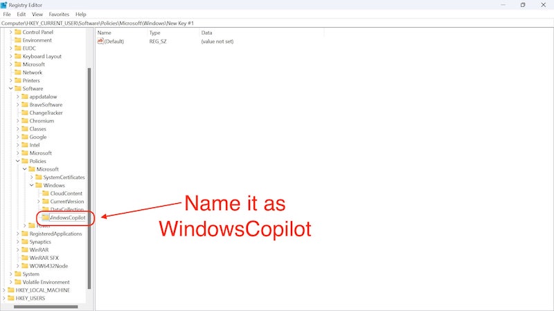 назовите ключ как windowscopilot