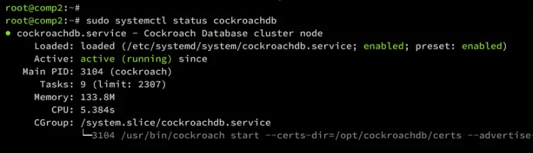 stato servizio cockroachdb comp2