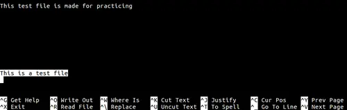 Text in Nano ausschneiden