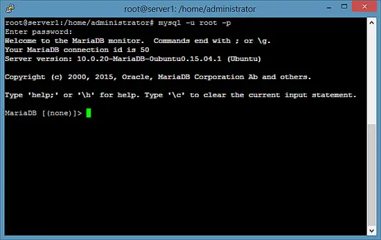 Test de la connexion MariaDB dans le shell.
