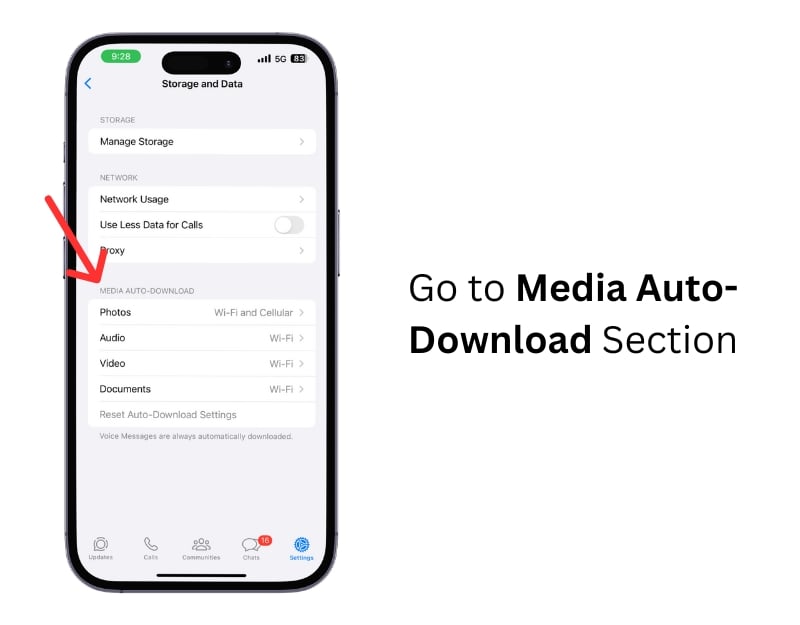 sezione download automatico dei media