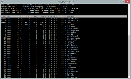 Comando Top in esecuzione all'interno di screen