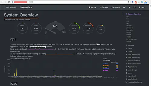 Netdata 시스템 개요