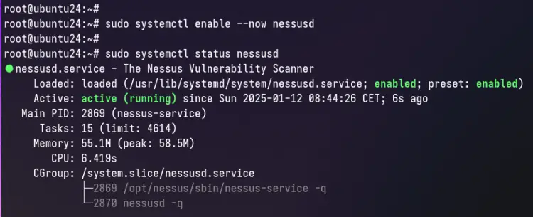 verificar nessus